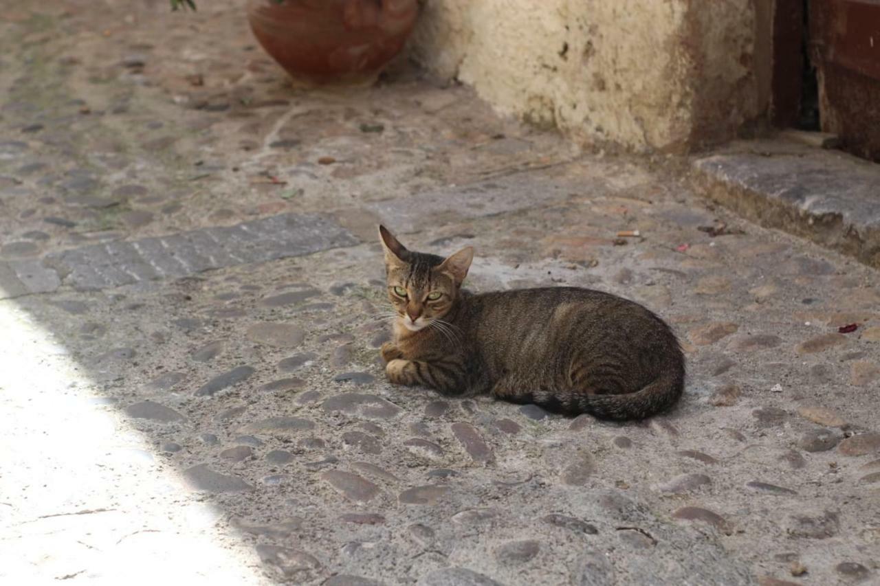 Dolce Aida Διαμέρισμα Cefalù Εξωτερικό φωτογραφία